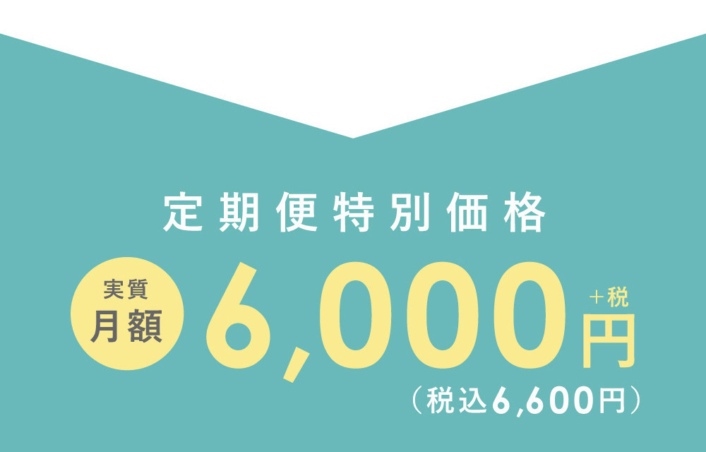 定期便特別価格 実質月額 6,000円+税(税込6,600円)