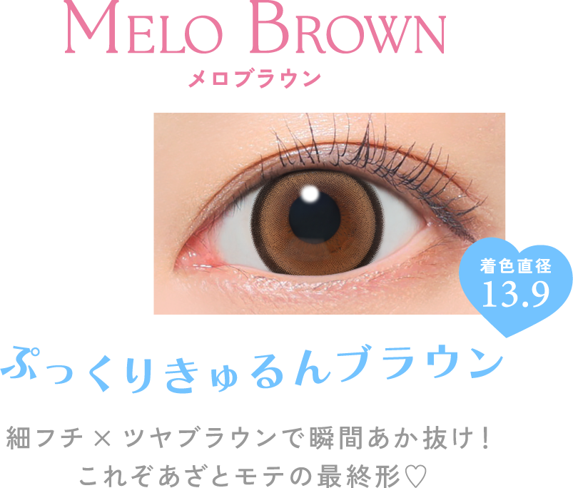 ぷっくりきゅるんブラウン