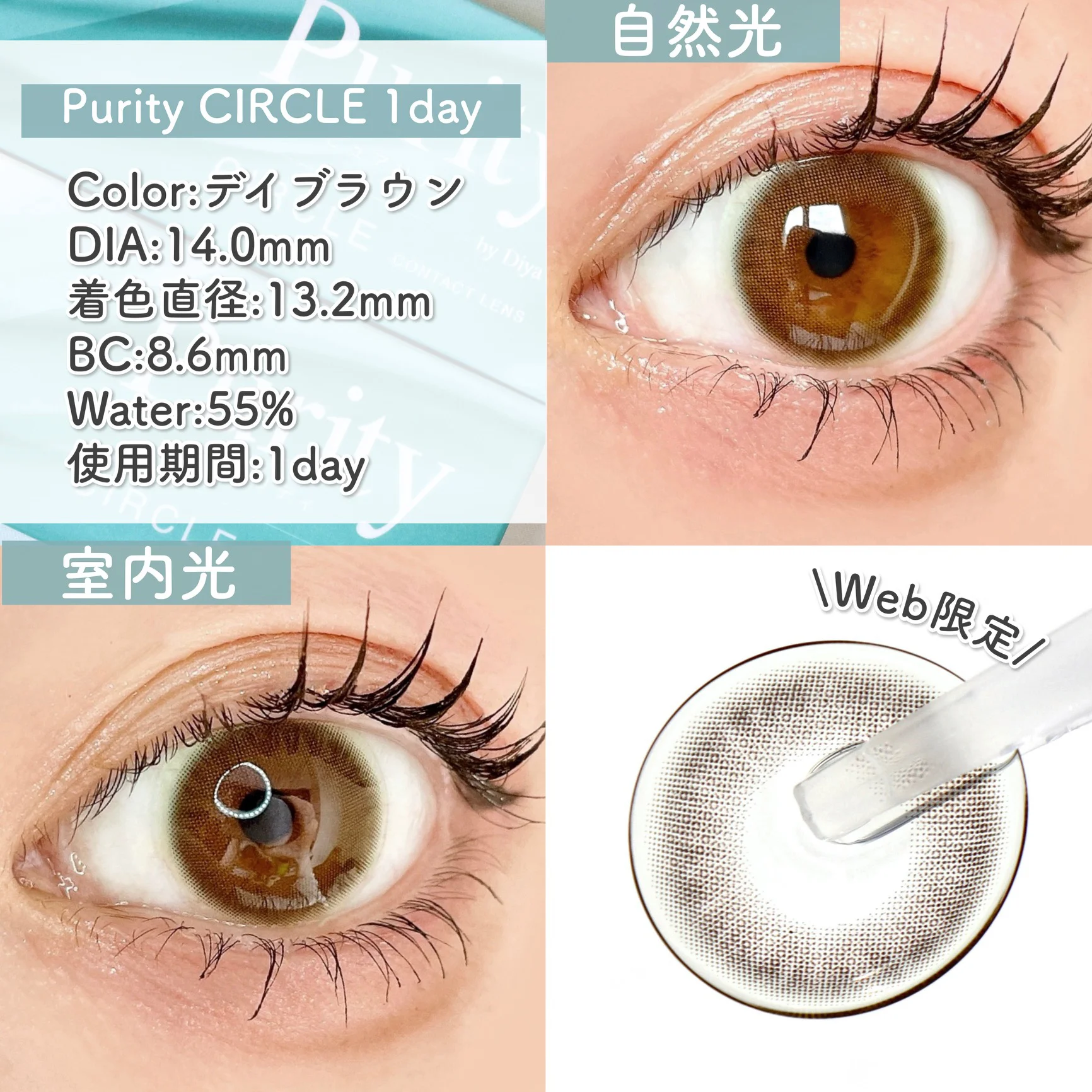 Purity CIRCLE 1day/デイブラウン