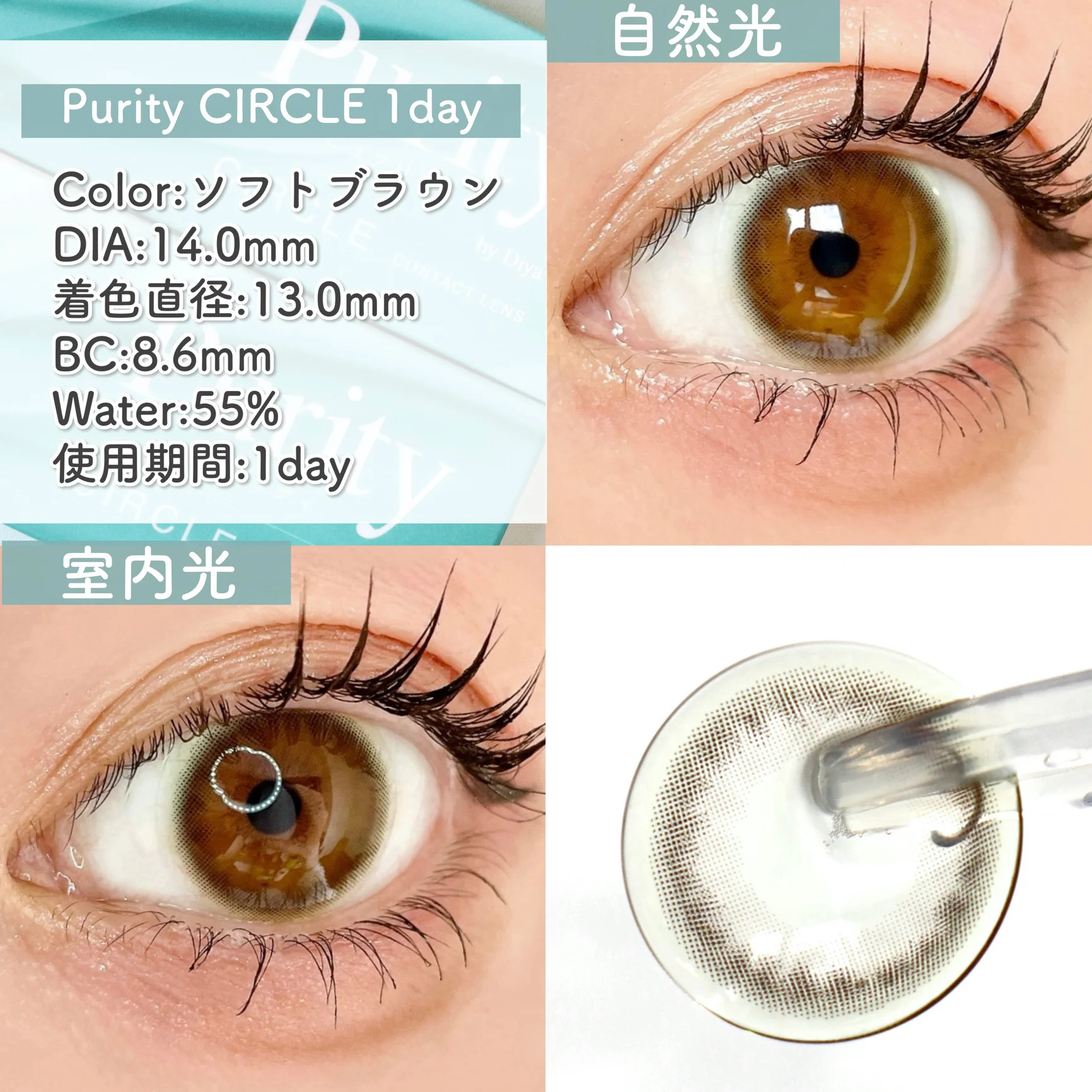 Purity CIRCLE 1day/ソフトブラウン